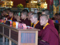 Young monks close up
