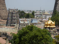 Part of the temple complex. The gopurams at the edges are already covered in matted palm leaves