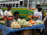 Flower sellers. These are mainly used as hair decoration. Marigolds are normally offered to the god