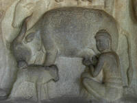 From the Krishna Mandapam, showing a man milking a cow