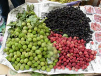 Mullberries and other fruit for sale