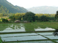 Reflections on the rice paddies (Jay)
