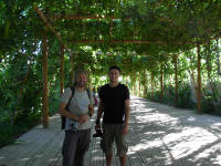 John and Nick in a grape arbour