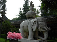 Elephant statue at the Wenshu Monastry. The 'flower' in fron is made of serviettes