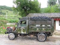 Small truck with tractor engine