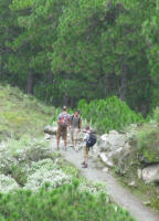 Other hikers on their way up