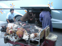 Chickens being loaded into a bus. This is illegal- so? (Pieter)