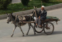 Donkeys and carts are used for anything (john)