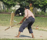 Cricket in a nearby park