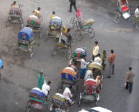 A few cyccle rickshaws clustered together
