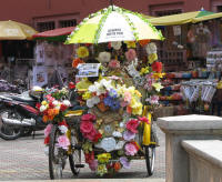 Tourist Rickshaw. The driver covered his face with a newspaper to prevent him being on the photo