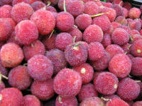Rasberries? for sale