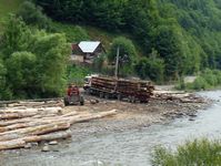 Logging nearthe town uses trucks