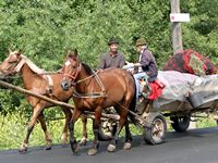 Horse and carts are still in use