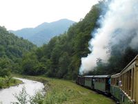 The steam train